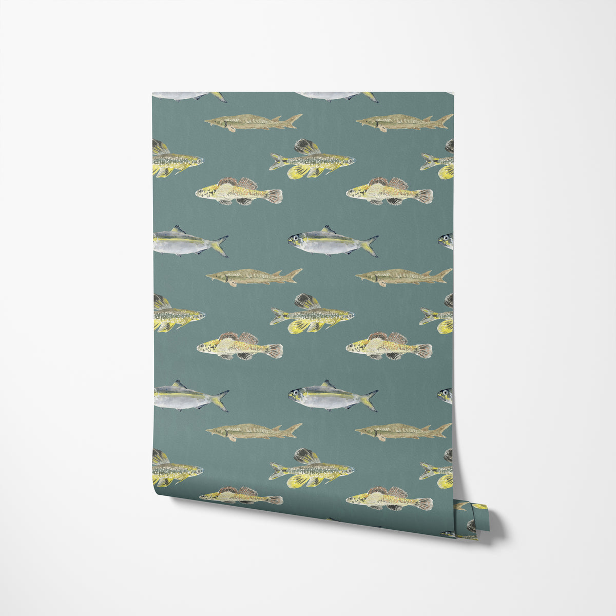 Do Fishes Have Noses