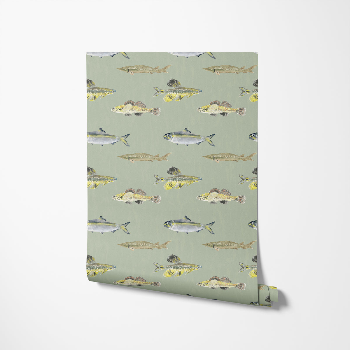 Do Fishes Have Noses
