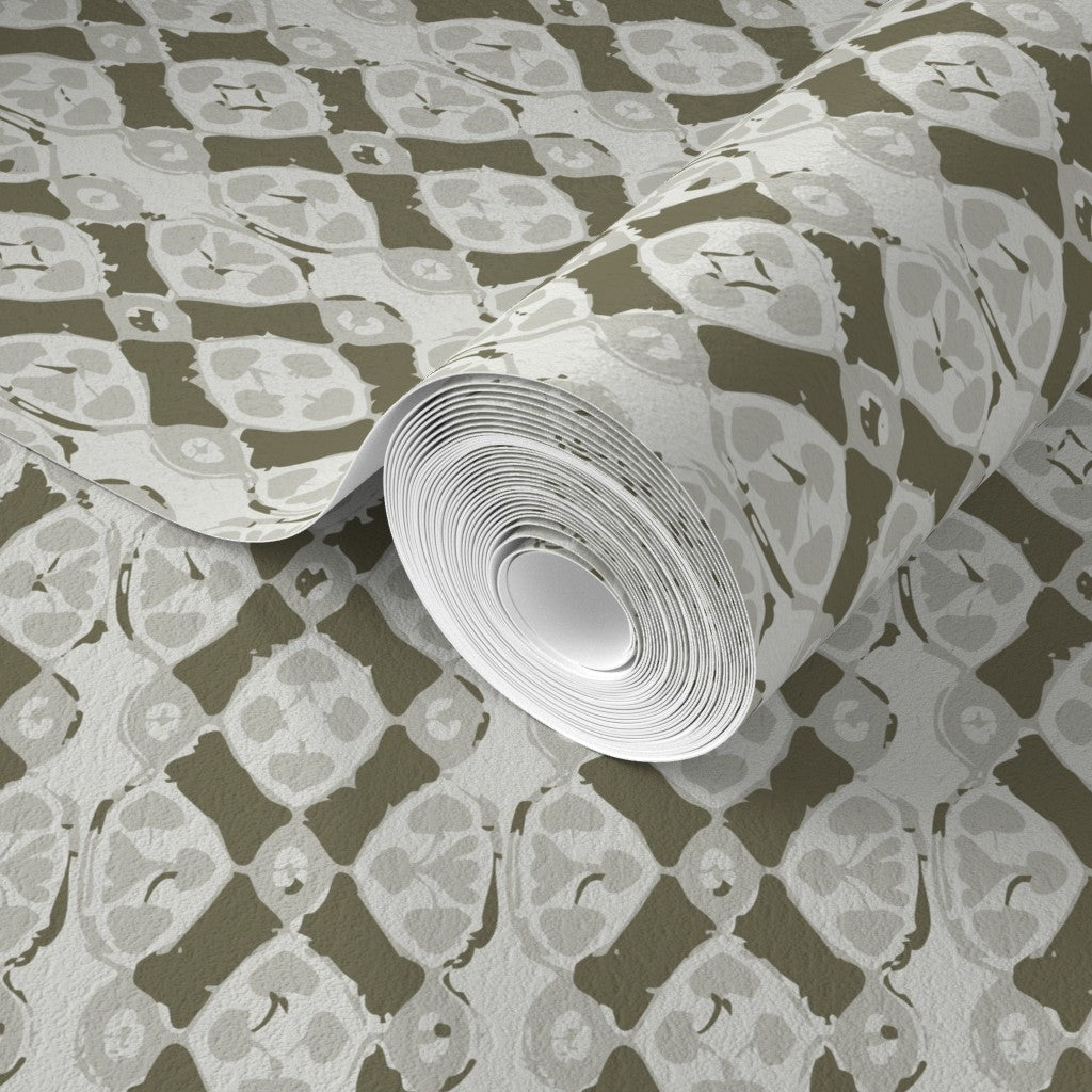 Shadow Lattice